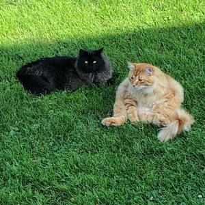 Meet your Posher, Krista